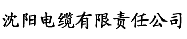 精品一区二区三区免费毛片电缆厂logo